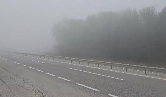 Sis Bursa'da trafiği kilitledi