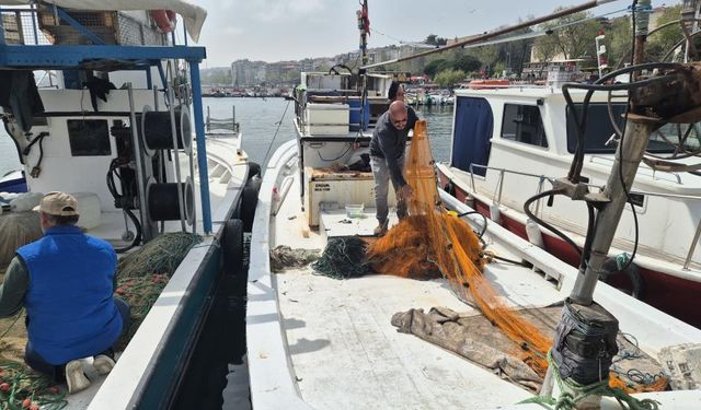 Müsilaj endişesi yeniden gündemde: "Balığın etine zararı yok"