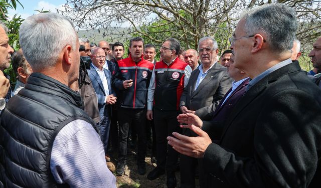 AK Parti Heyetinden İznik’te Don Mağduru Çiftçilere Ziyaret