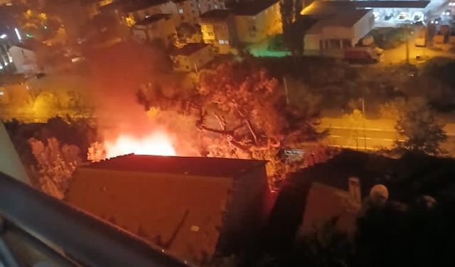 Bursa’da korkutan odunluk yangını
