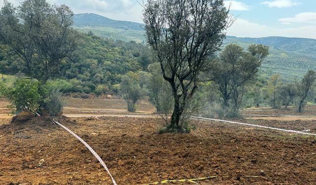 Hisseli satışlara dikkat! Tarım arazilerinizi koruyun