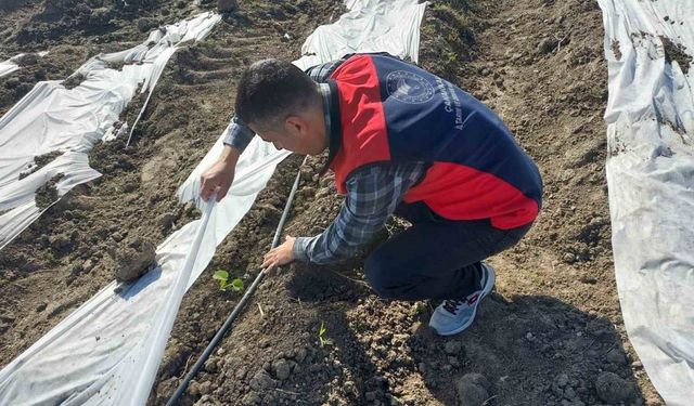 Çanakkale’de zirai donun ardından hasar tespit çalışmaları