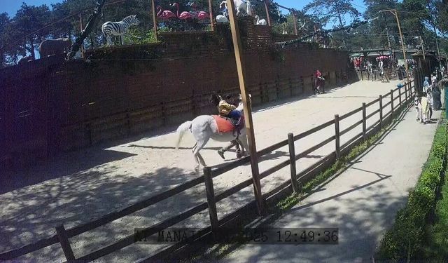 Çekmeköy Hayvanat Bahçesi’ndeki hayvanlar depremi böyle hissetti