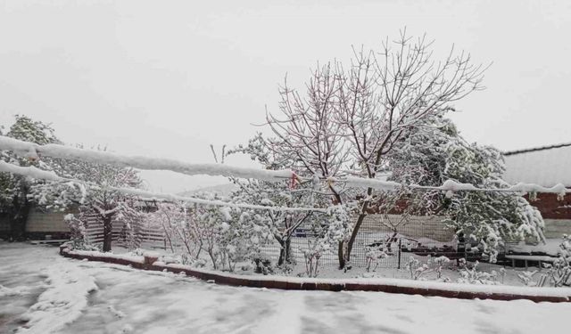 Kış geri geldi: Edirne’de kar yağışı