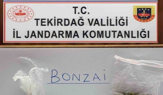 Tekirdağ’da jandarma yol ve mahalle denetimlerinde bonzai ele geçirdi