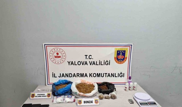 Yalova’da uyuşturucu operasyonunda 2 tutuklama