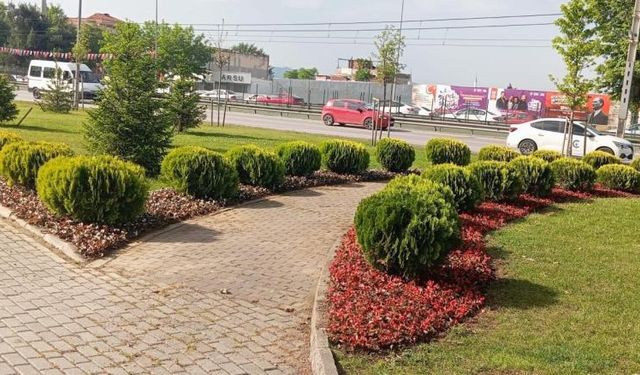 Bursa çiçek bahçesine dönüşüyor