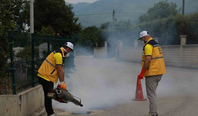 Akyazı’da ilaçlama çalışmaları aralıksız devam ediyor
