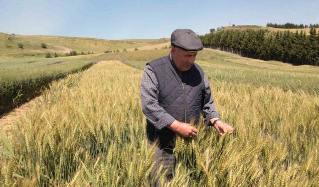 Çanakkale’de tarla günü düzenlendi