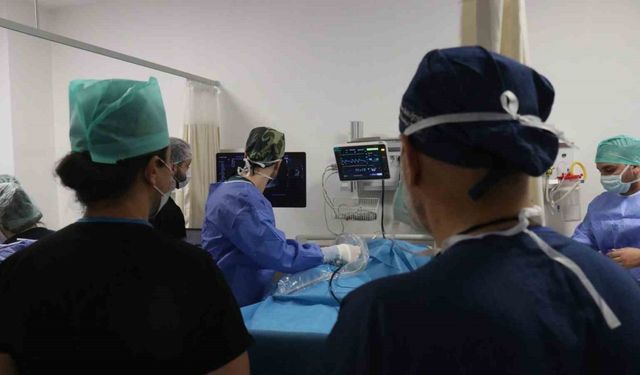 Sakarya’dan dünyaya tıp eğitimi: SEAH, uluslararası eğitimin üssü oldu
