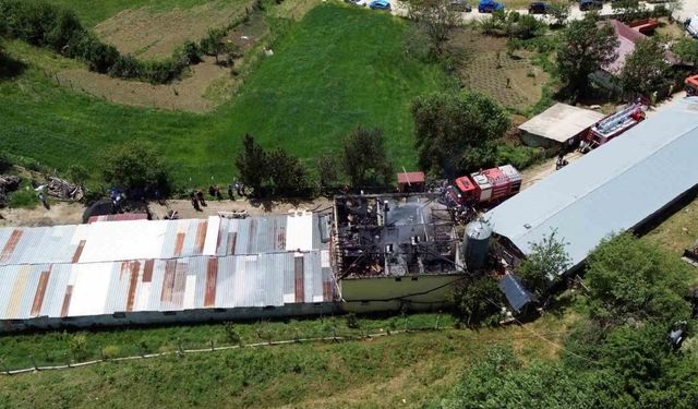 Tavuk çiftliğinde yangın: Binlerce hayvan telef olmaktan son anda kurtarıldı