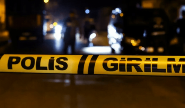 Koyunlar tarlaya girdi, kan döküldü!