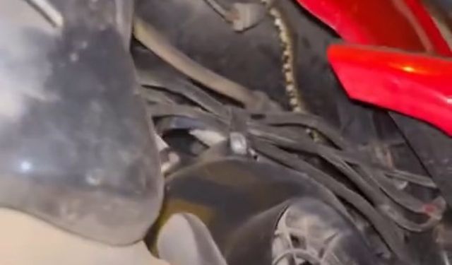 Motosiklete giren yılan paniğe neden oldu