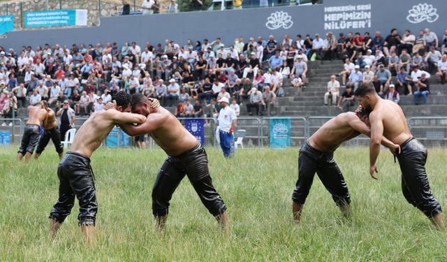 63. Tarihi Çalı Yağlı Güreşleri’nde Nefes Kesen Mücadele