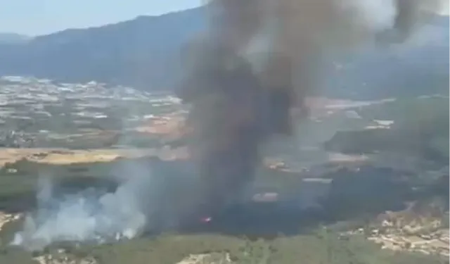 İzmir Bornova Yakaköy'de orman yangınına hızlı müdahale