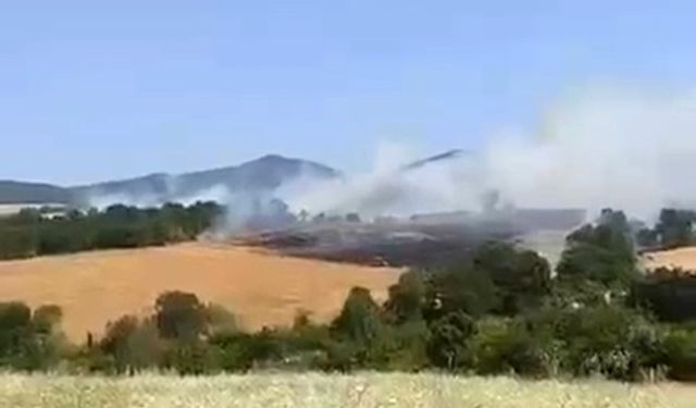 Gönen’de buğday tarlasında yangın çıktı
