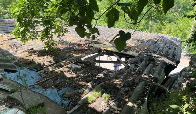 İpini koparan boğa 3 metre yükseklikten otomobilin üzerine düştü