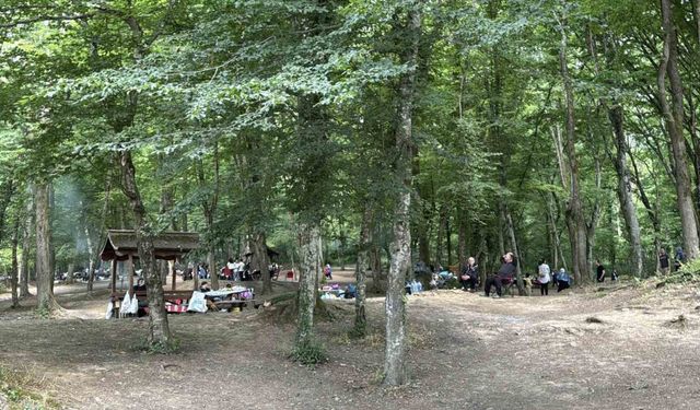 İstanbullular Kurban Bayramı’nın 2’nci gününde Belgrad Ormanı’na akın etti