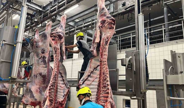 Kist hidatik riskine karşı sakatat uyarısı