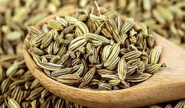 Rezene Nedir? Rezene Çayının Faydaları Nelerdir?