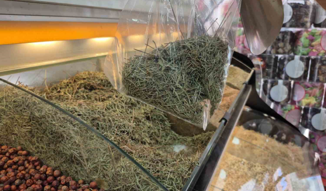 Zayıflamak için canınızdan olmayın
