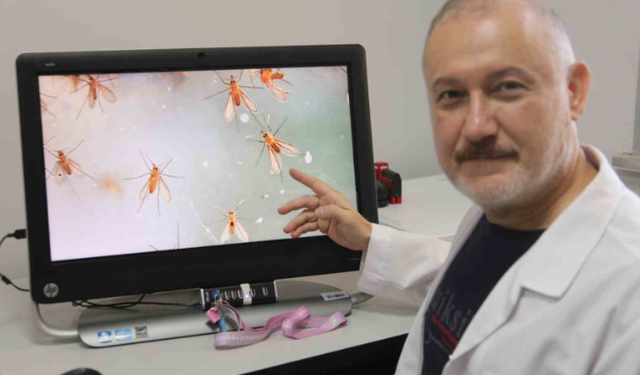 Uzmanlardan ’Yakarca’ uyarısı