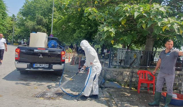 Nilüfer'de Kurban Bayramı sonrası temizlik
