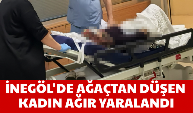 İnegöl'de ağaçtan düşen kadın ağır yaralandı