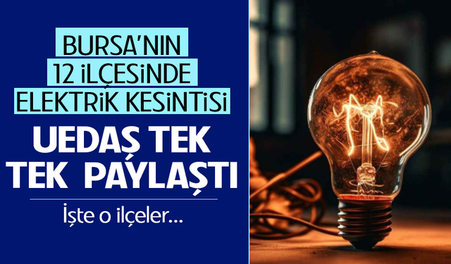 Bursa'nın 12 ilçesinde elektrik kesintisi