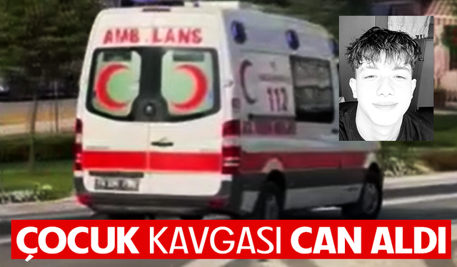 Parkta çıkan çocuk kavgası can aldı