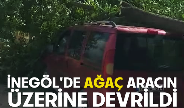 İnegöl'de ağaç aracın üzerine devrildi