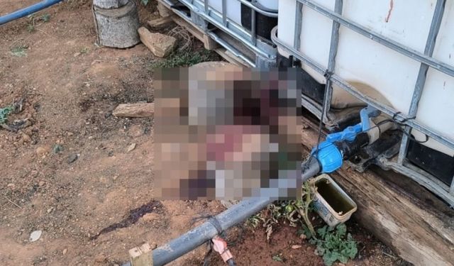 Bahçe sulama kavgası kanlı bitti! Acımadan öldürdü