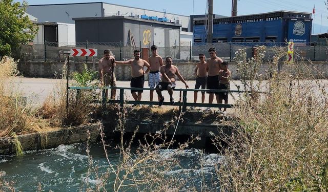 40 derecede sulama kanalında serinlediler