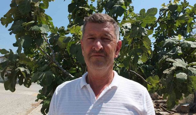 Balıkesirli çiftçi oturduğu caddeyi meyve ağaçlarıyla yeşillendirdi