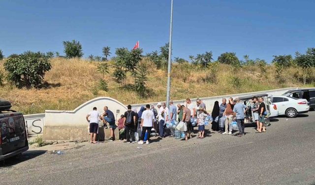Burası Afrika değil Tekirdağ: Susuzluk dayanılmaz hale geldi