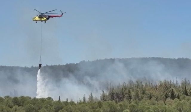 Çanakkale’de orman yangını