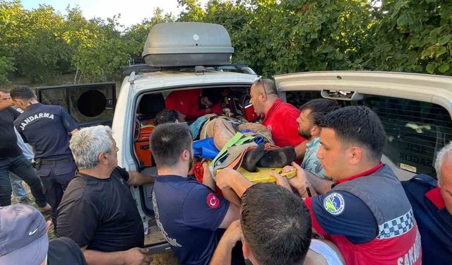 Fındık tarlasında çalışırken dereye düştü: Ekipler seferber oldu