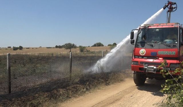 Kırklareli’nde çıkan yangında 20 dekar ceviz bahçesi zarar gördü