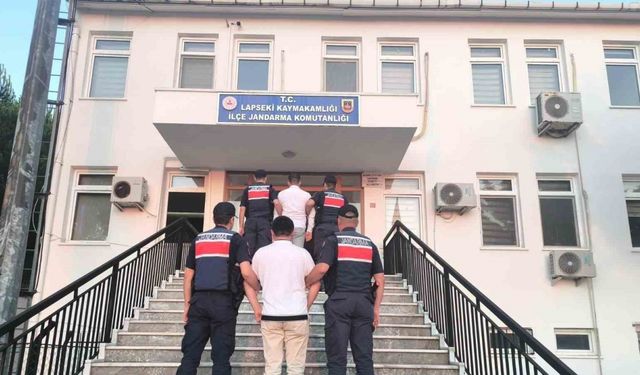 Lapseki’de tarım arazisinde çıkan ormanlık alana sıçrayan yangının sebebi sigara izmariti