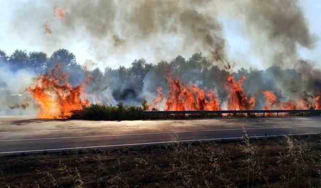 Sakarya’da otluk alanda korkutan yangın