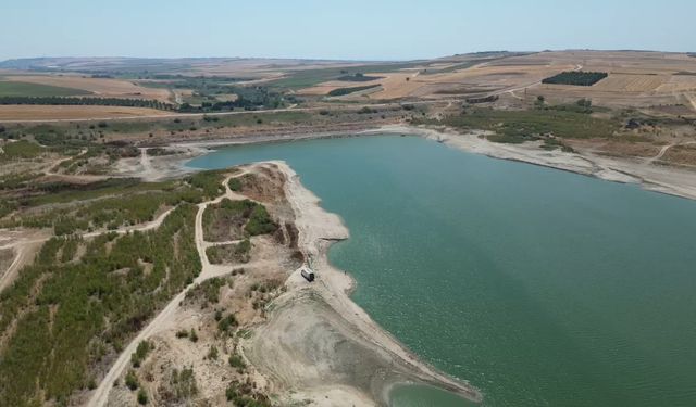Tekirdağ’da kuruyan Türkmenli Gölet’inde ağaçlar ortaya çıktı