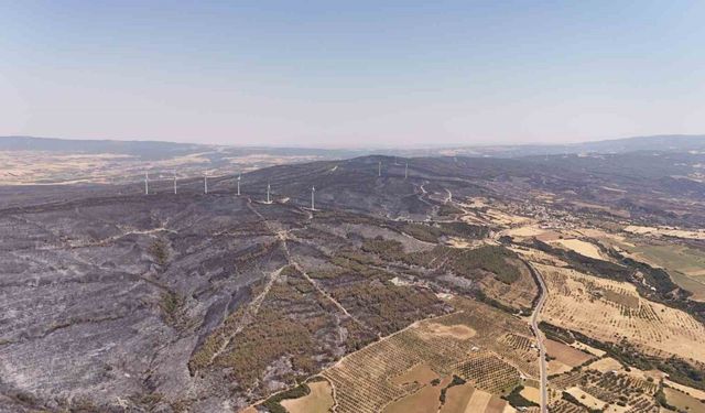 Tekirdağ’da yanan ormanlık alanlar havadan görüntülendi
