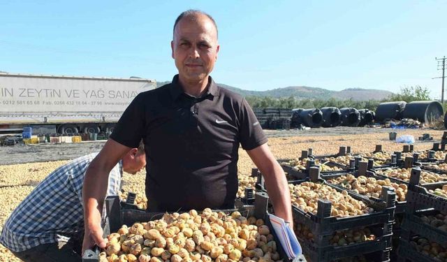 Balıkesir’ de Havran ilçesi incir de Aydın’a rakip oldu