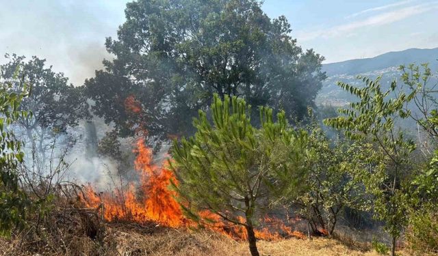 Makilik alanda çıkan yangın ekiplerin hızlı müdahalesiyle söndürüldü