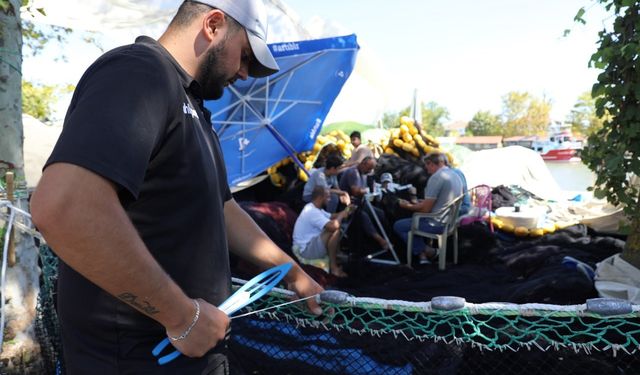 Palamuttan ümidini kesen balıkçılar, ağlarını hamsi için onardı