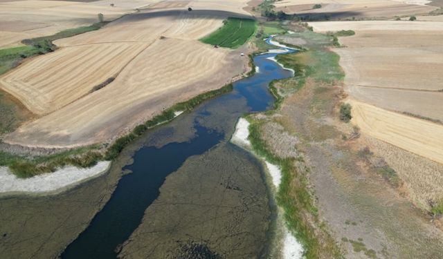 Tekirdağ’da Sarılar Göleti kuraklıktan nasibini aldı