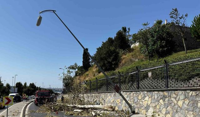 Üsküdar’da ağaç seyir halindeki otomobilin üzerine devrildi