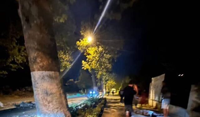 Yalova’da ağaca çarpan motosikletli ağır yaralandı