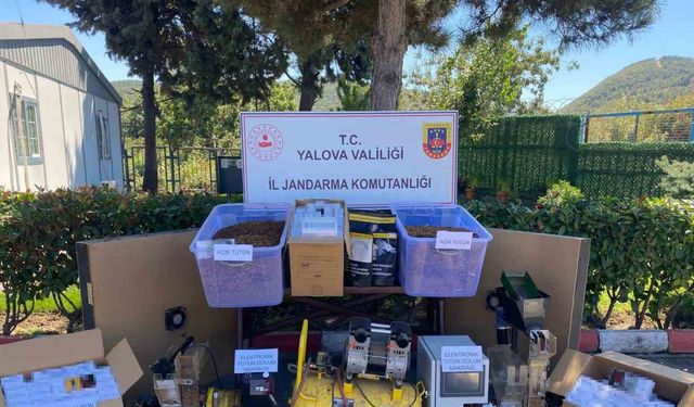 Yalova’da kaçak tütün operasyonunda 1 tutuklama