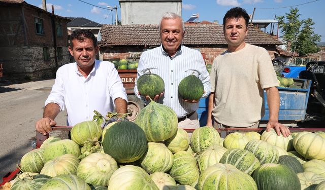 NİLÜFER KONAKLI'DAKİ KAVUN ÜRETİMİ İKİ KAT ARTTI